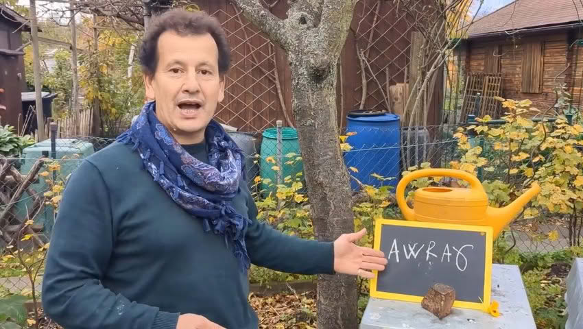 Learn the colors in Berber